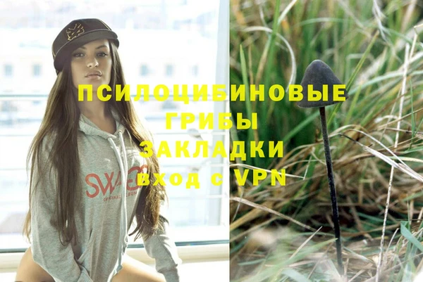 твердый Каменск-Шахтинский
