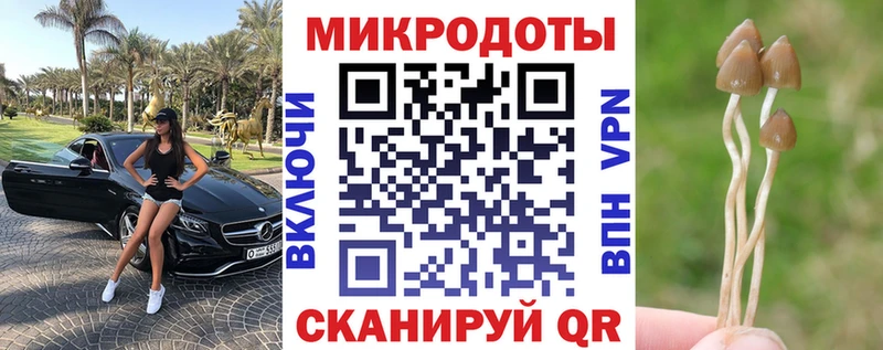 Галлюциногенные грибы Psilocybine cubensis  магазин продажи   Мценск 