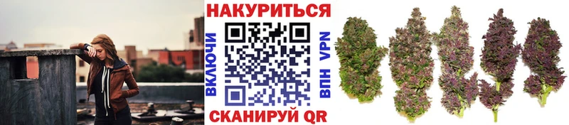МЕГА   Мценск  Бошки Шишки White Widow 
